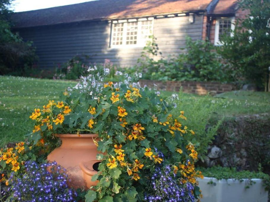 Oak House Farm Διαμέρισμα Edenbridge Εξωτερικό φωτογραφία