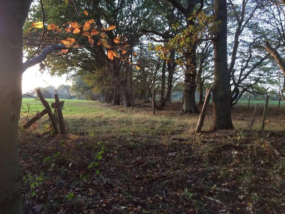 Oak House Farm Διαμέρισμα Edenbridge Εξωτερικό φωτογραφία